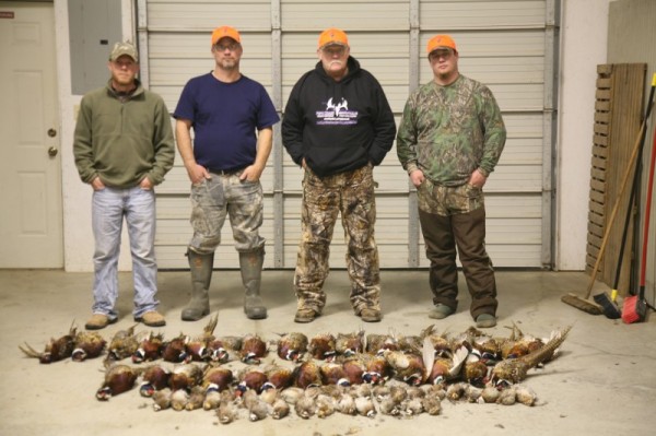 Kansas Pheasant and quail Hunts