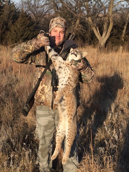 Bobcat hunts in Kansas