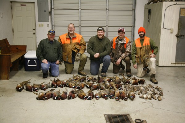 Pheasant and Quail hunts in Kansas