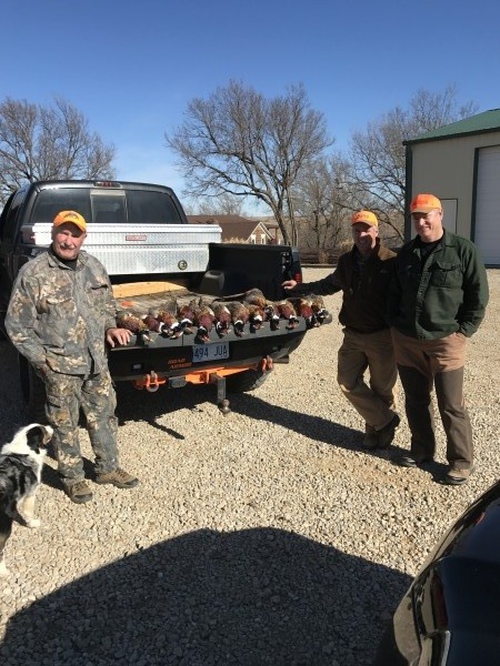 Kansas Pheasant hunts 17