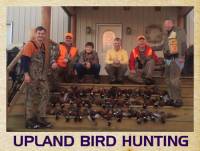 Kansas Upland Bird Hunting