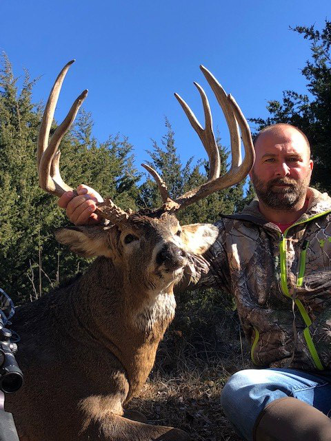 whitetail deer hunting in kansas