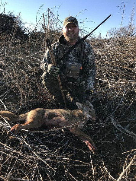 Coyote hunts in Kansas