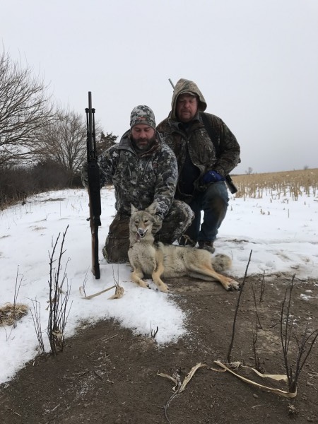 Kansas Coyote Hunts 17