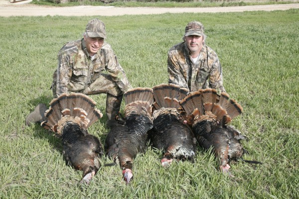 Kansas Turkey Hunts 2013 Turkey 4