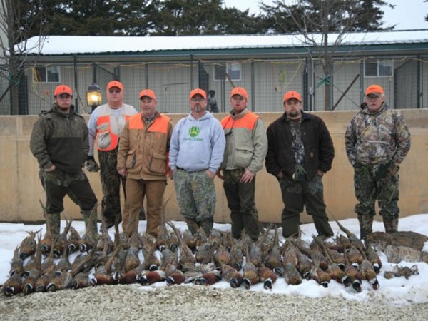 Kansas Upland Bird Hunts