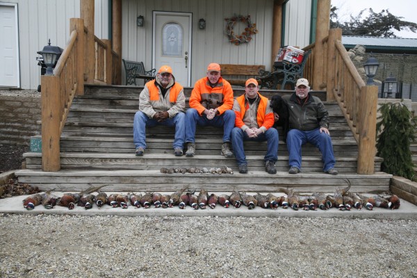 Pheasant hunt Kansas