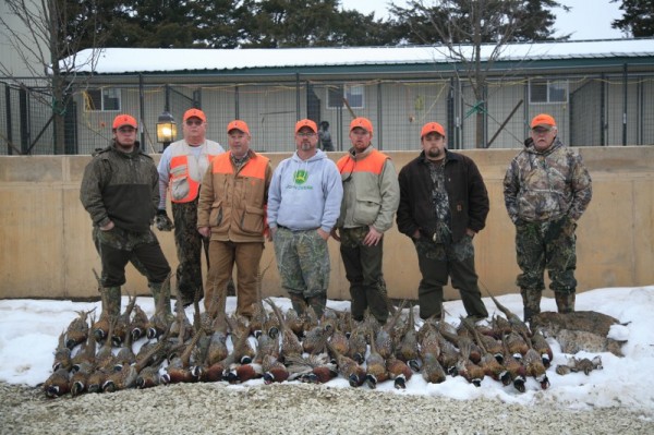 Kansas Pheasant Hunts