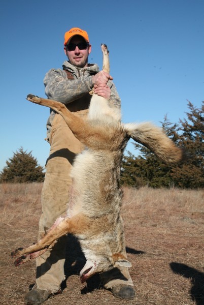 Kansas Coyote Hunts 1