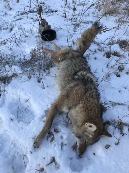 Predator calling in Kansas 17 1