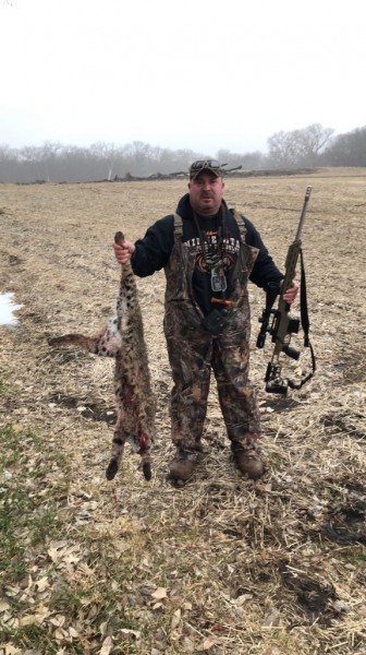 Bobcat Calling In Kansas 18